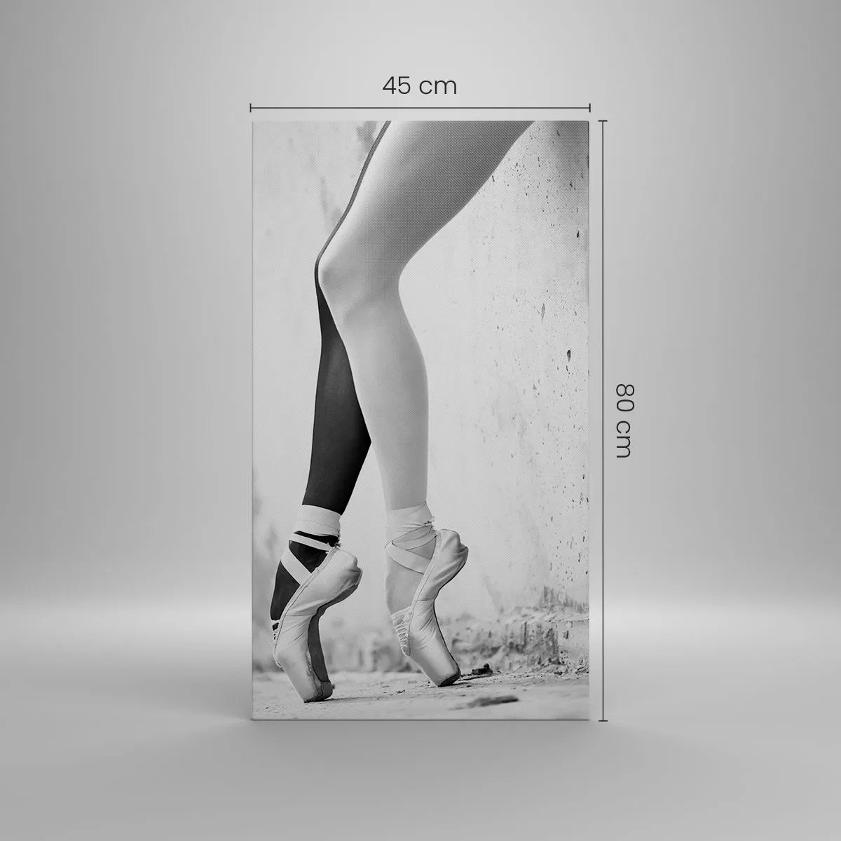 Impression sur toile - Image sur toile - Ballerine, voilà ! - 45x80 cm