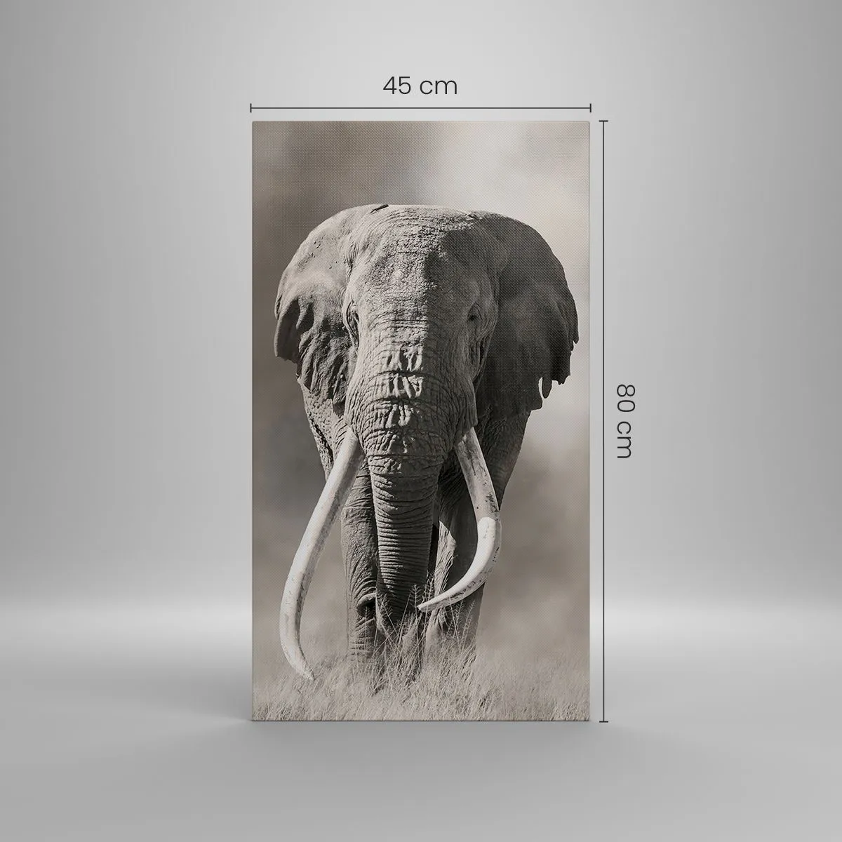 Vászonkép - Afrikai patriarcha - 45x80 cm