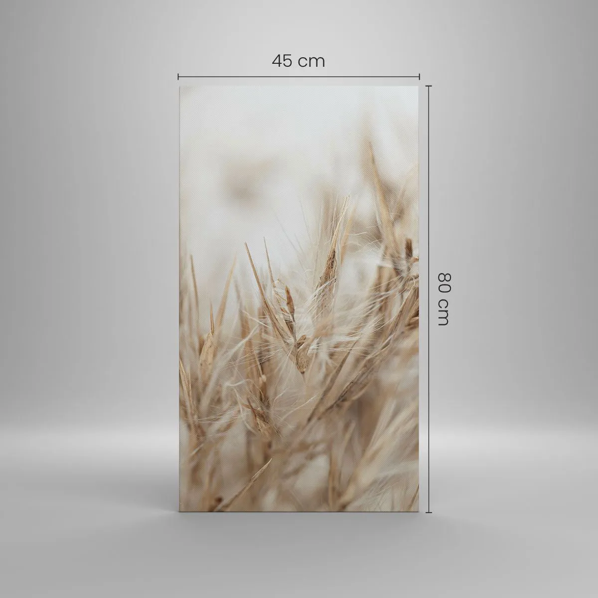 Impression sur toile - Image sur toile - Prairie et vent - 45x80 cm