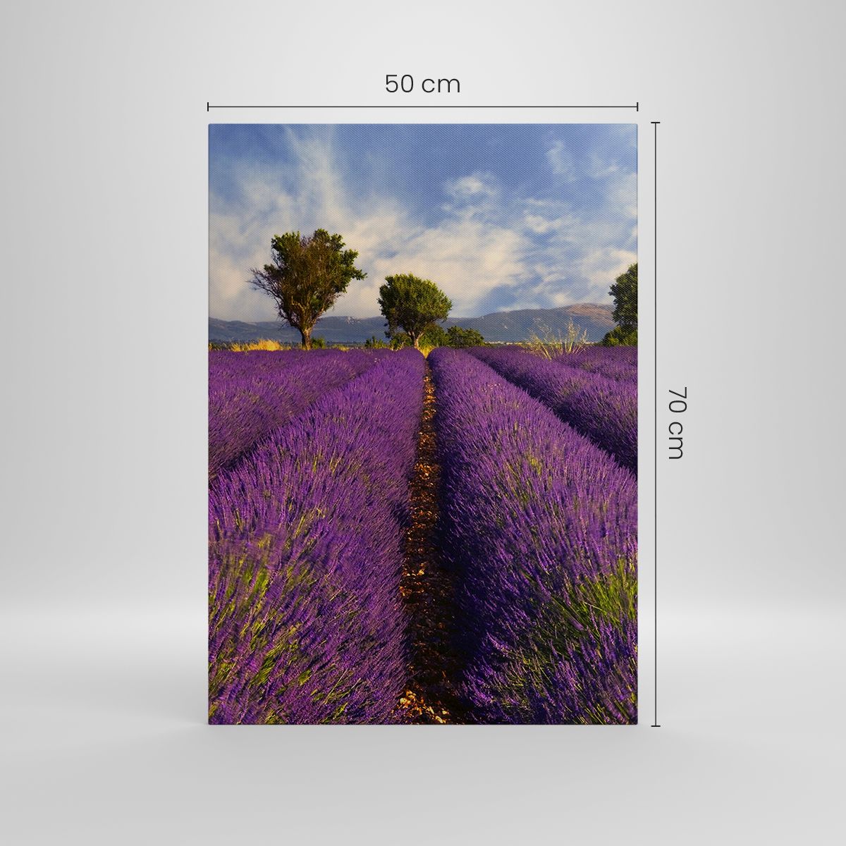 Quadro su tela, Stampe su Tela 50x70 cm - Campi di lavanda