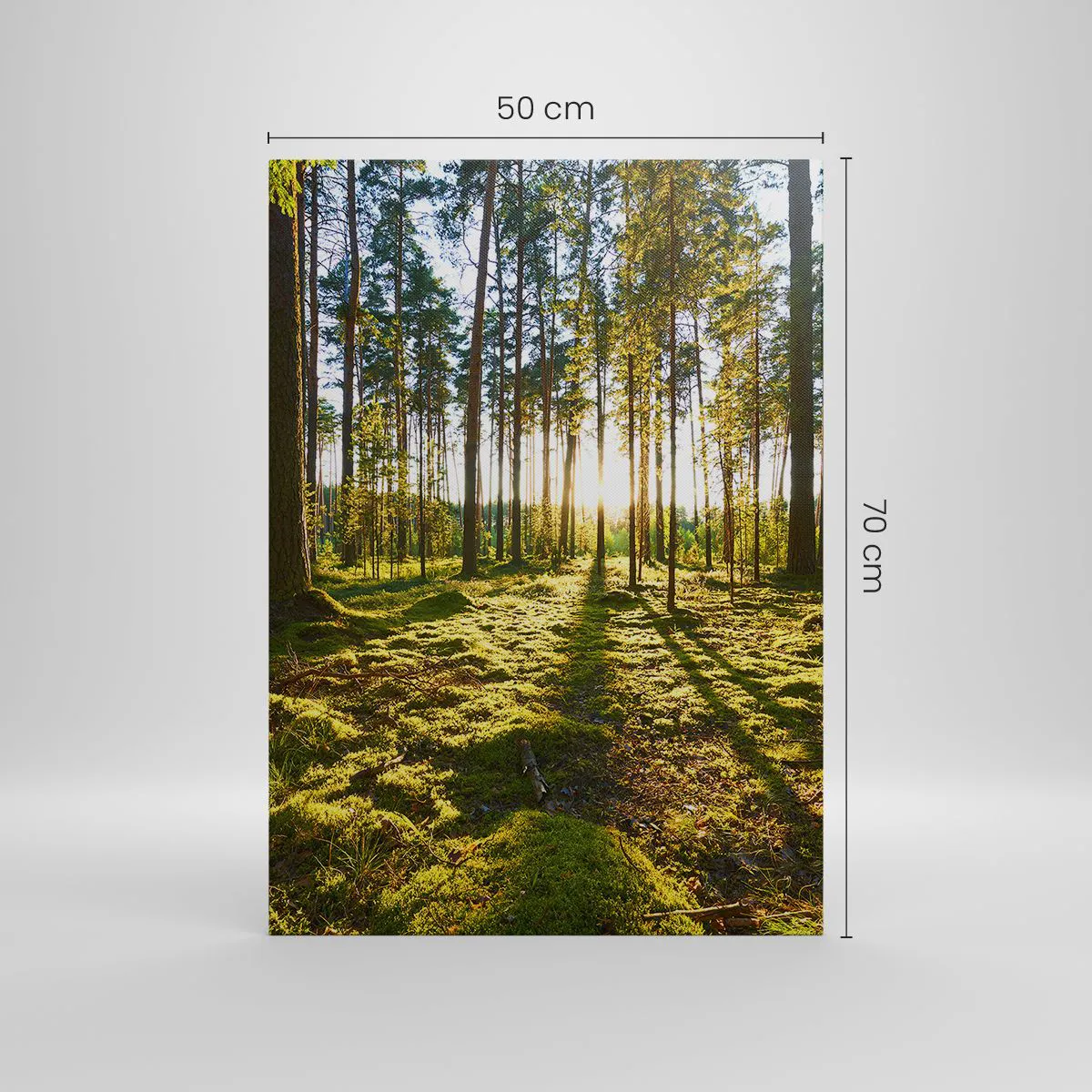 Quadro su tela - Stampe su Tela - Foresta verde illuminata dalla luce del sole sul muschio - 50x70cm - …dopo sette foreste - Decorazione murale moderna per soggiorno e camera da letto ARTTOR