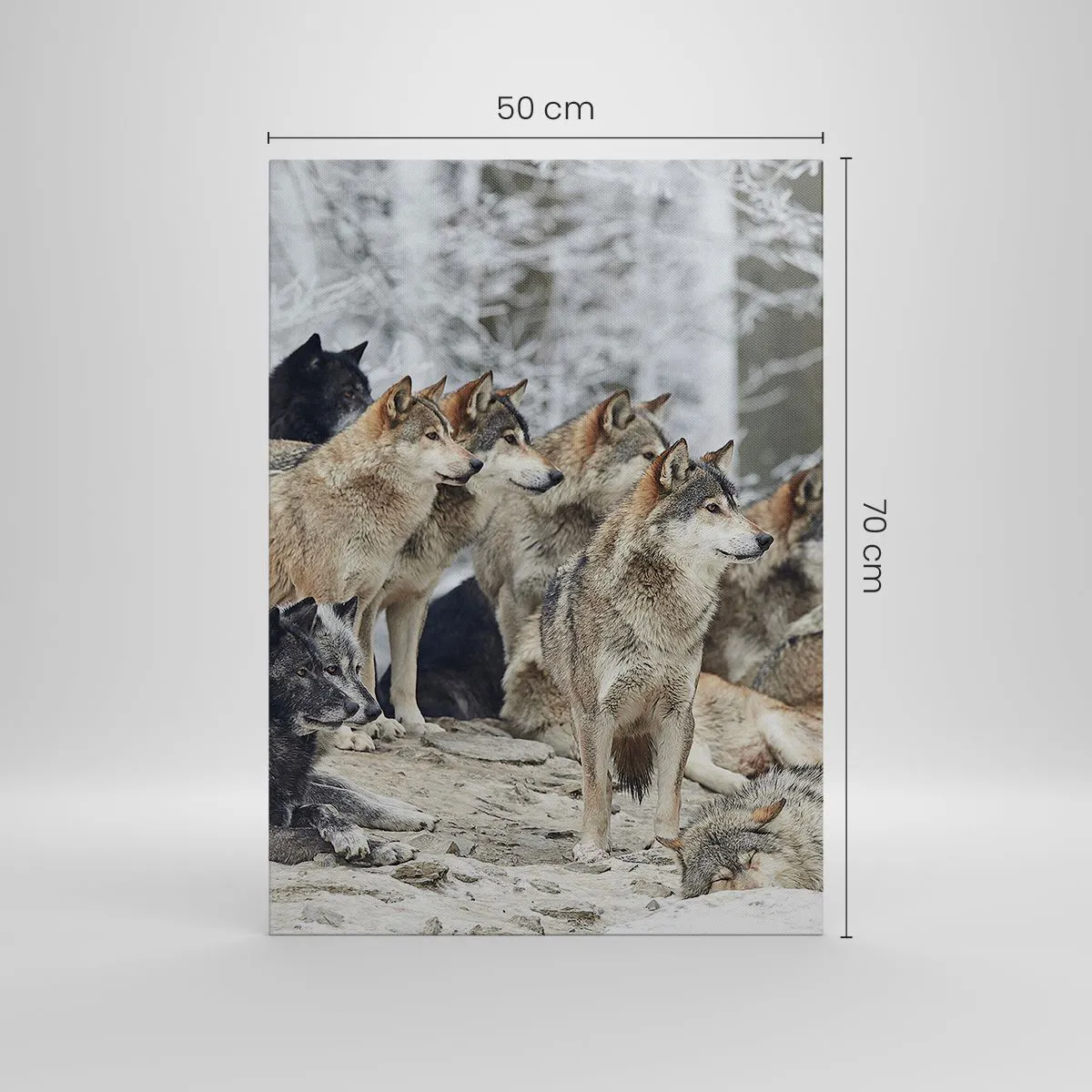 Bild auf Leinwand - Leinwandbild - Ein Wolfsrudel im Winterwald - 50x70cm - Familie und Freunde - Moderne Wanddekoration für Wohnzimmer und Schlafzimmer ARTTOR