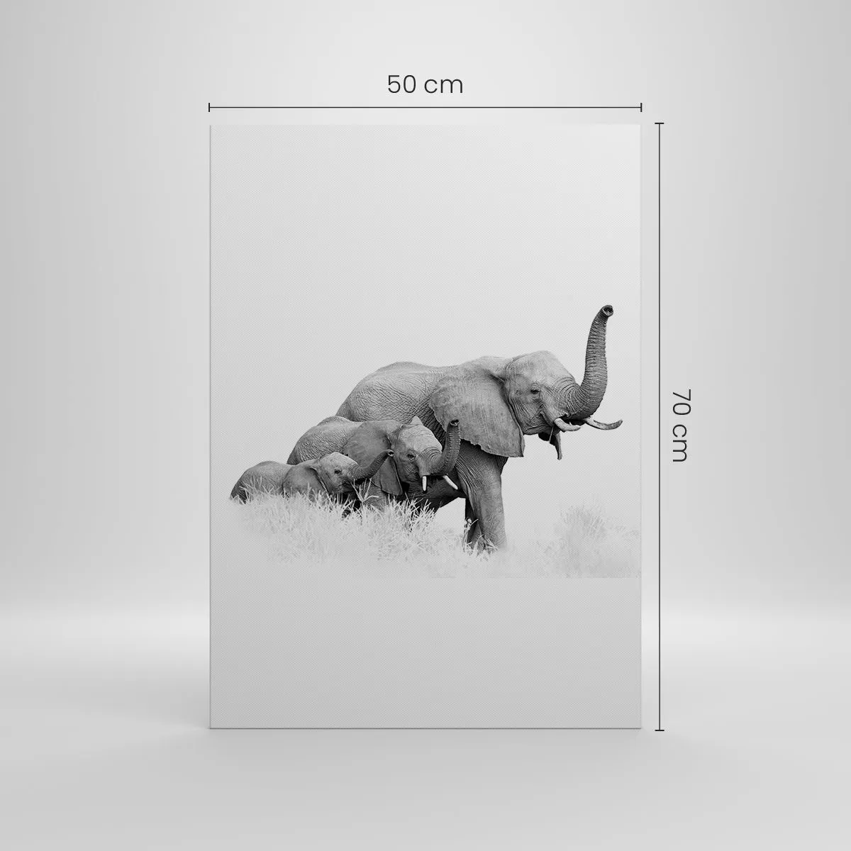 Canvas picture - One, Two, Three - 50x70 cm