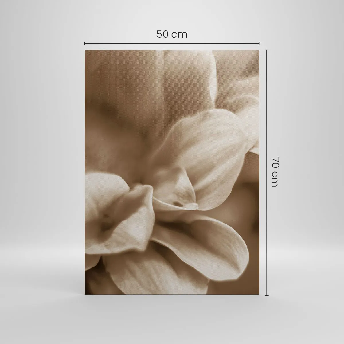 Vászonkép - Gyengéd, mint egy mosoly - 50x70 cm