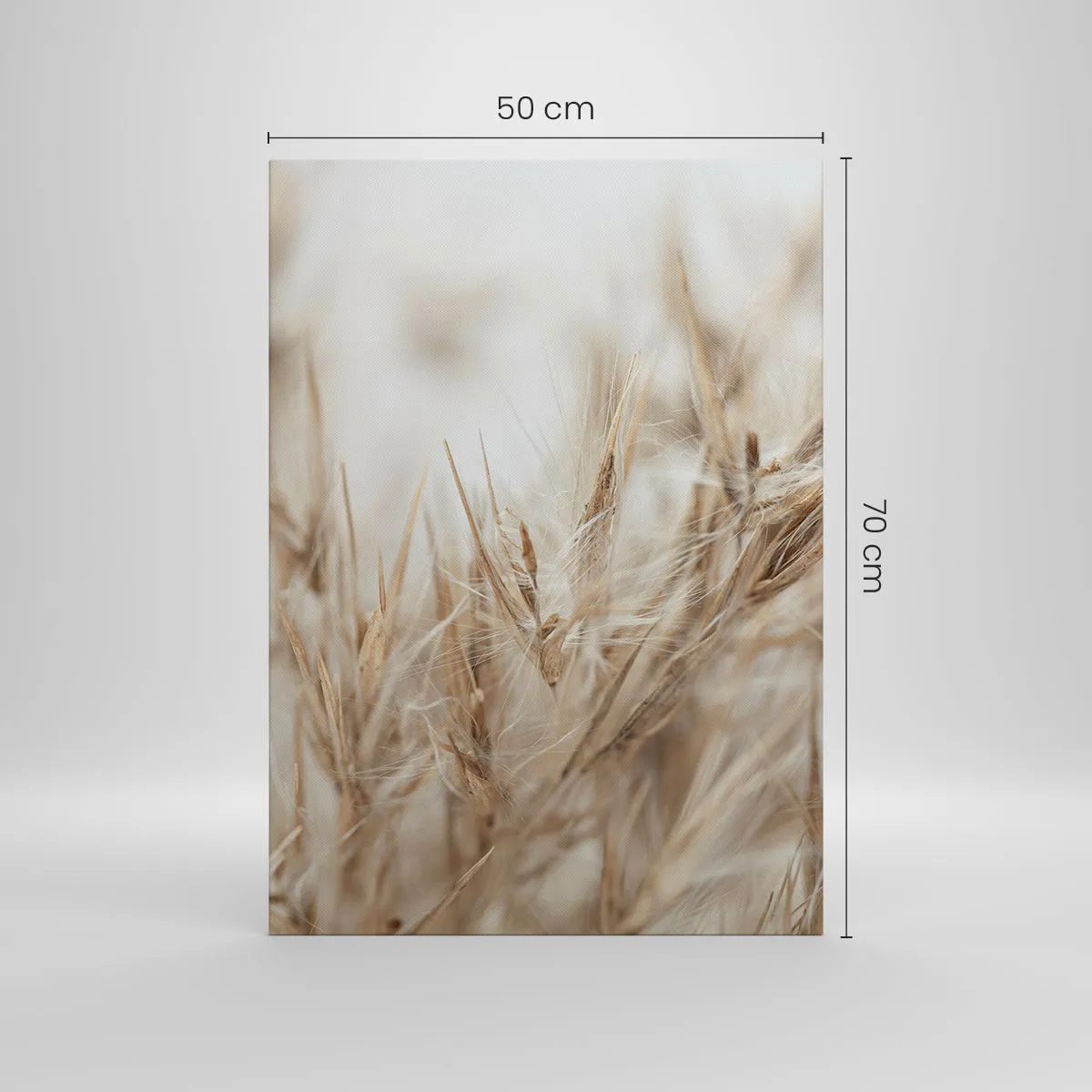 Canvastavla - Bild på duk - Äng och vind - 50x70 cm