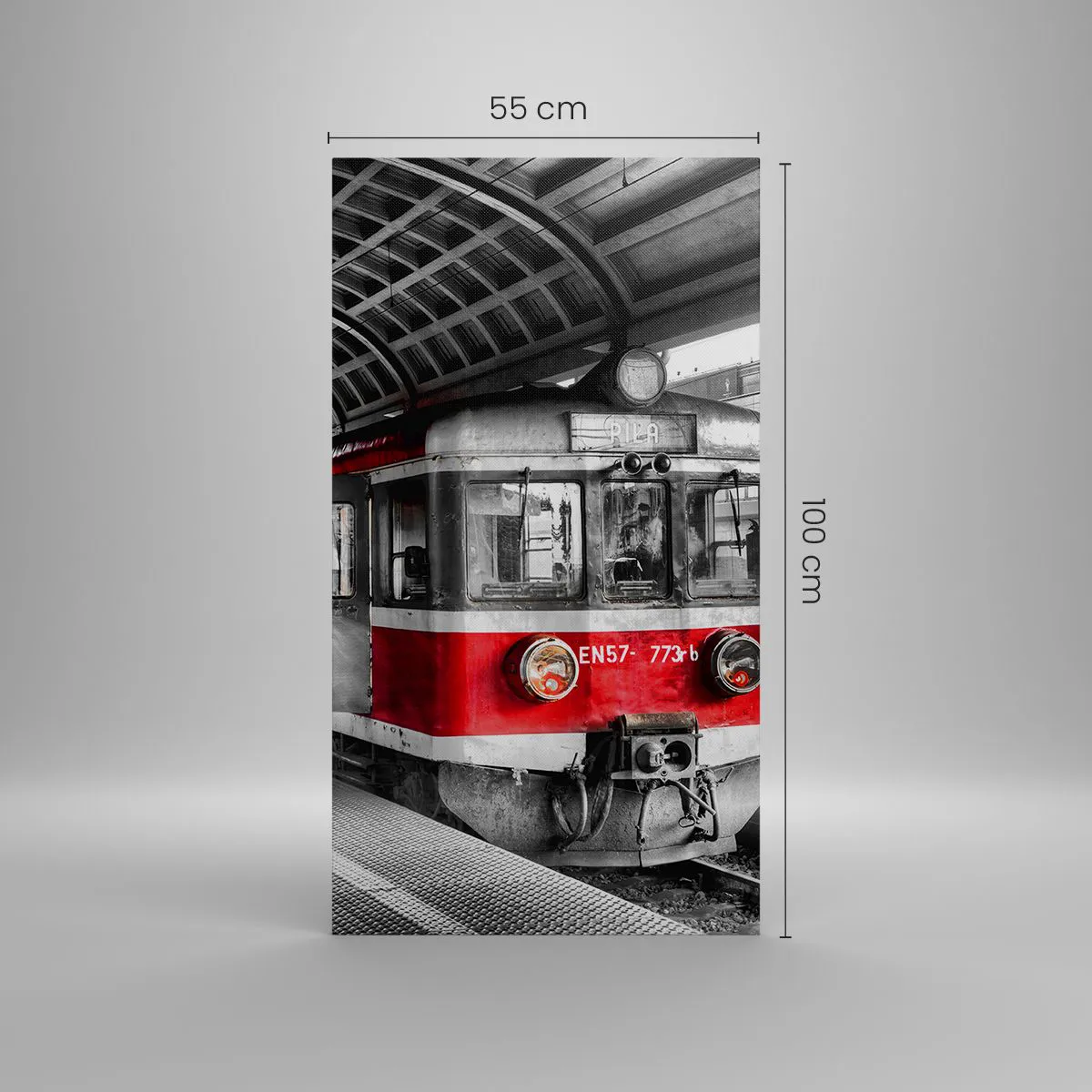 Cuadro sobre lienzo - Impresión de Imagen - ¿El viaje de su vida? - 55x100 cm