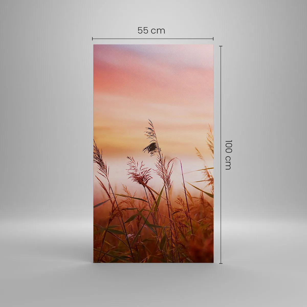 Obraz na plátně - Draci, pampelišky a vítr - 55x100 cm