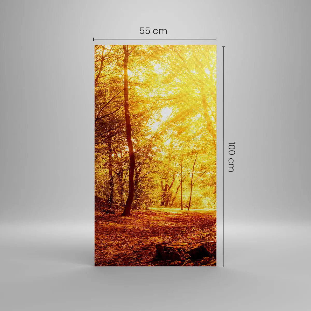 Impression sur toile - Image sur toile - Vers la clairière dorée - 55x100 cm