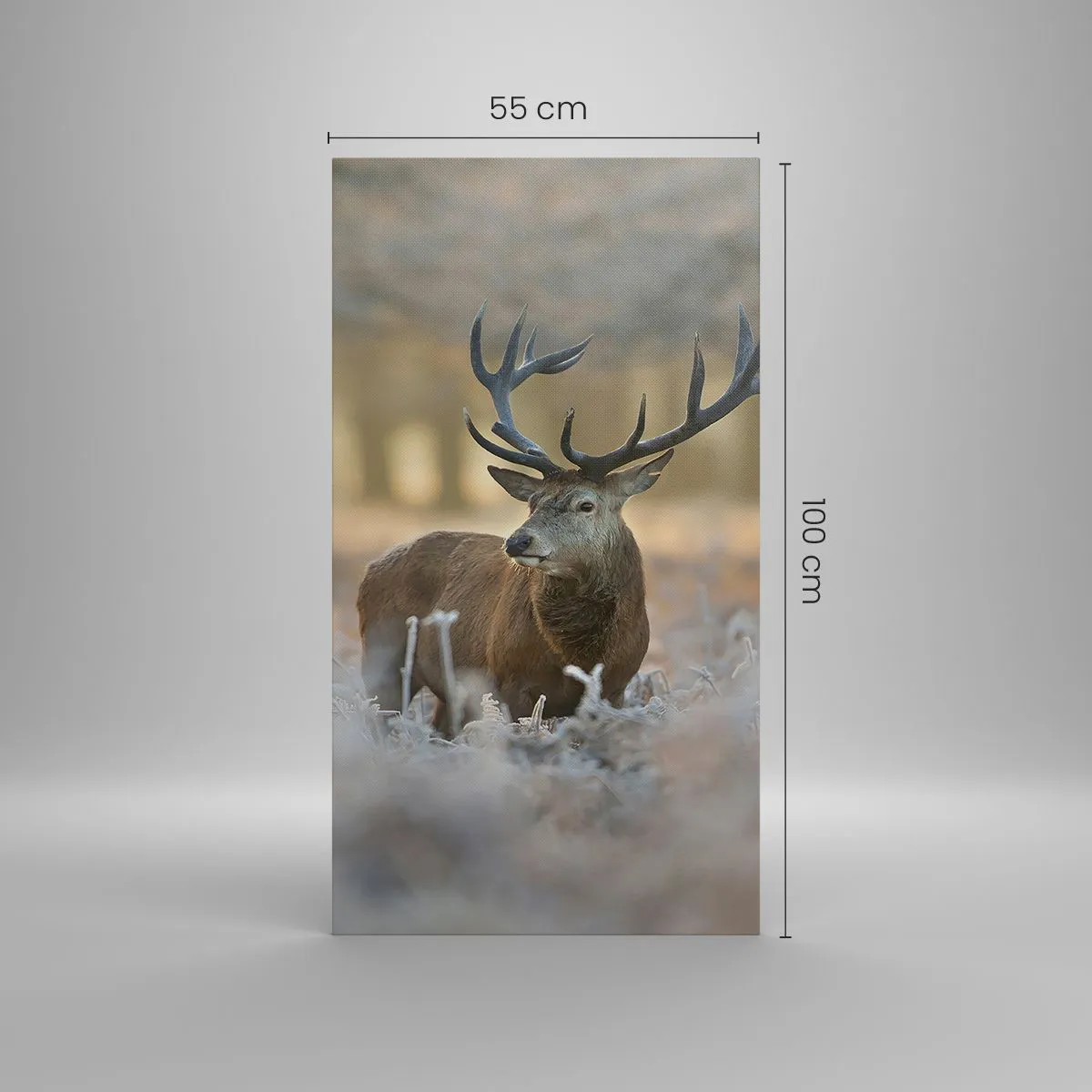 Obraz na płótnie - Rześki poranek - 55x100 cm