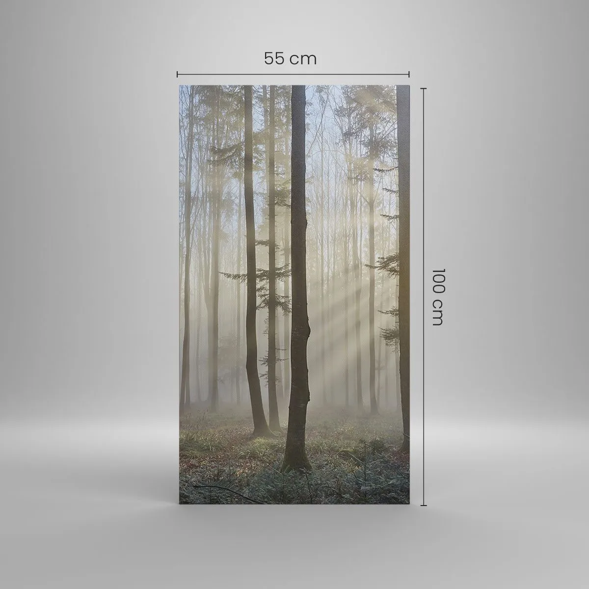 Obraz na plátne - Hmla sa tiež zobudila - 55x100 cm