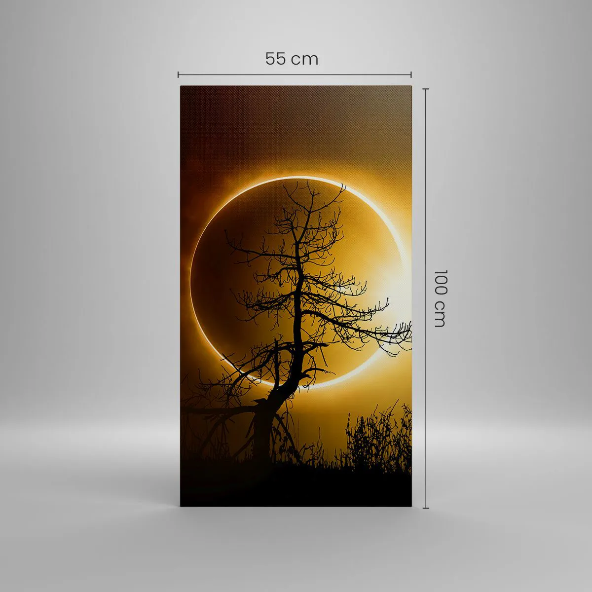 Lærredstryk - Billede på lærred - Total formørkelse - 55x100 cm