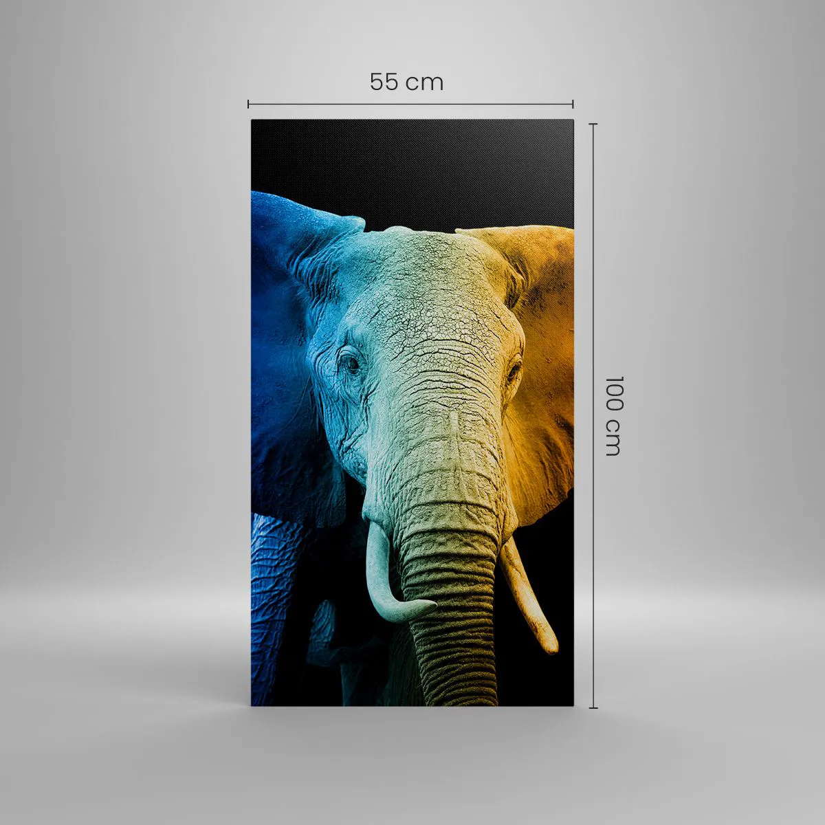 Vászonkép - Excentrikus, nem különc - 55x100 cm