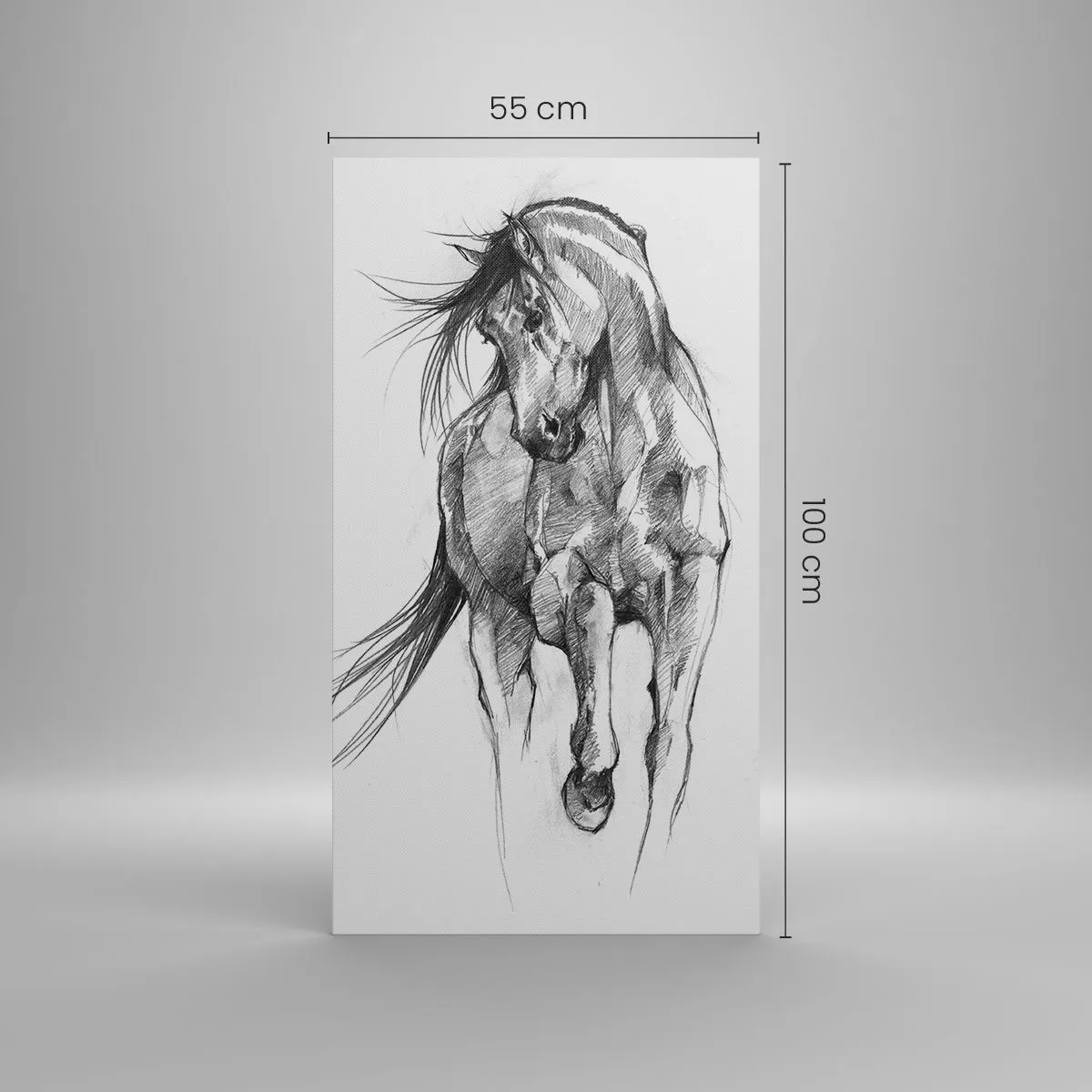 Impression sur toile - Image sur toile - D'un trot gracieux - 55x100 cm