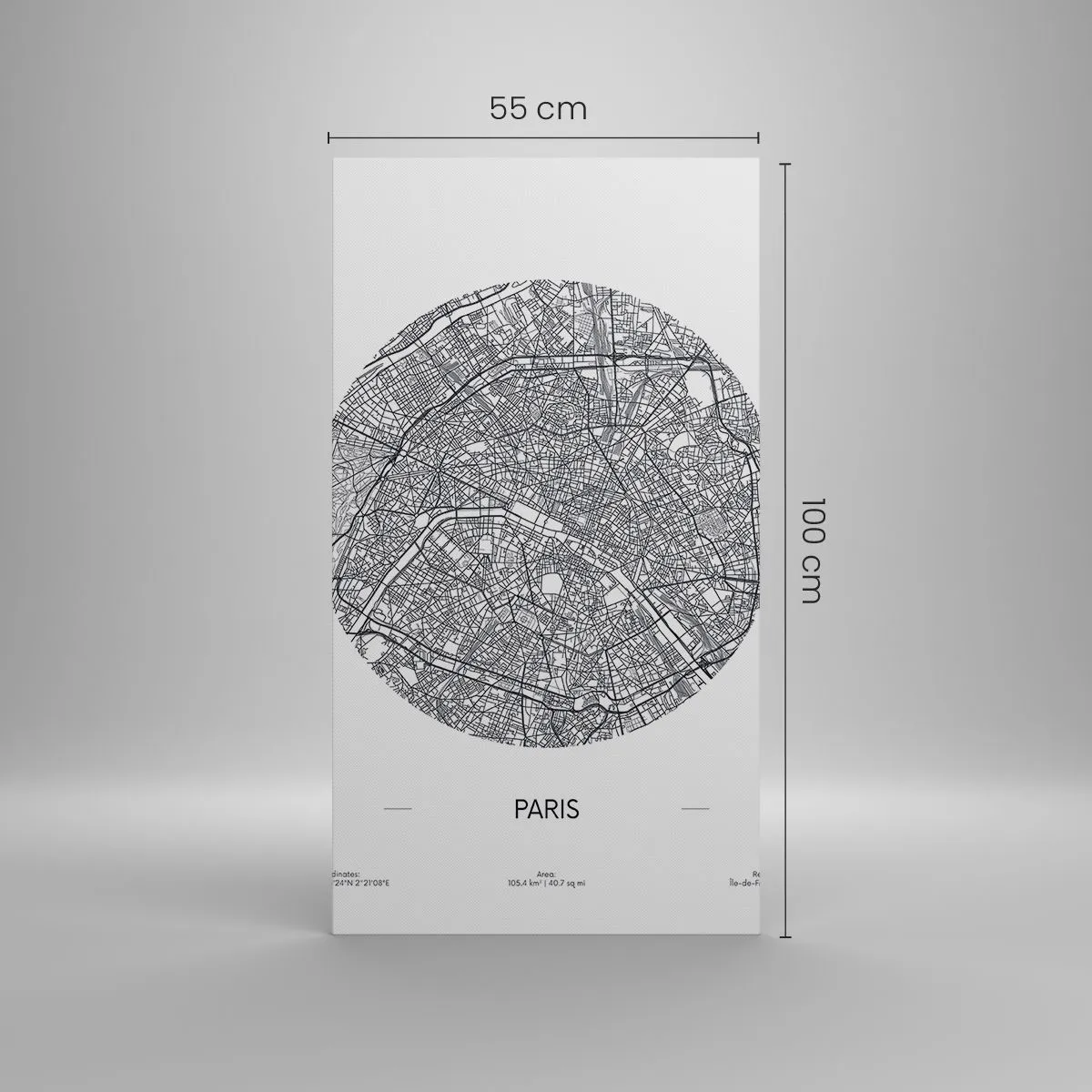 Vászonkép - Párizs anatómiája - 55x100 cm