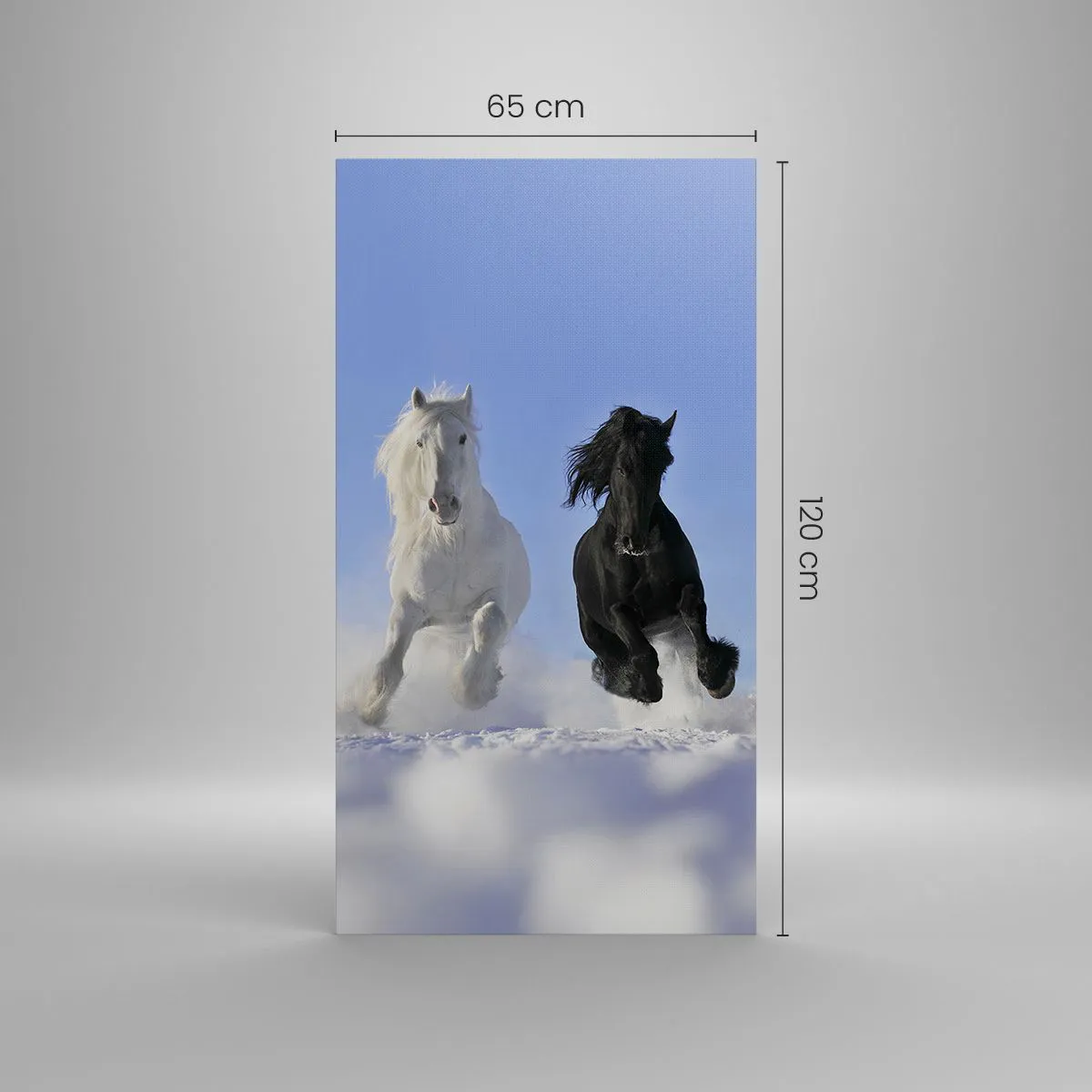 Impression sur toile - Image sur toile - Galop noir et blanc - 65x120 cm