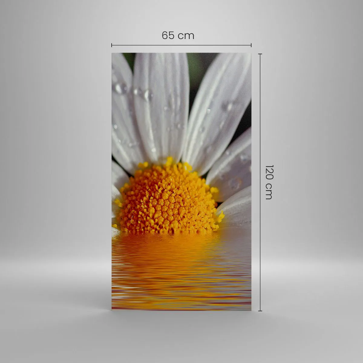 Bild auf Leinwand - Leinwandbild - Die aufgehende Sonne der Gänseblümchen - 65x120 cm