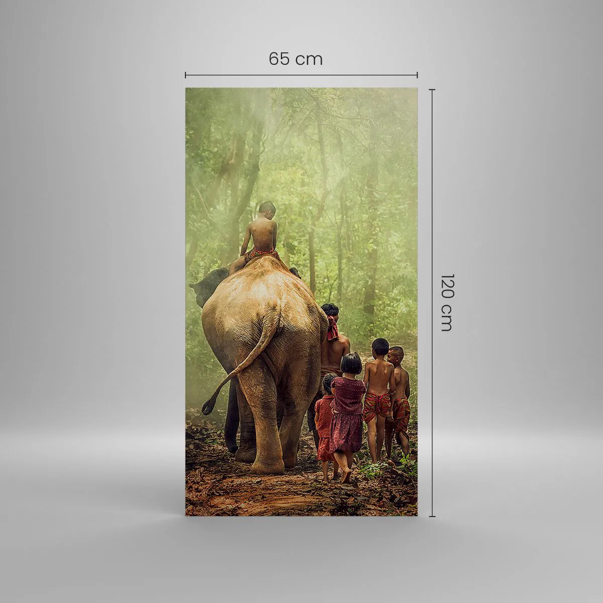 Schilderen op canvas - Nieuw Jungle Boek - 65x120 cm