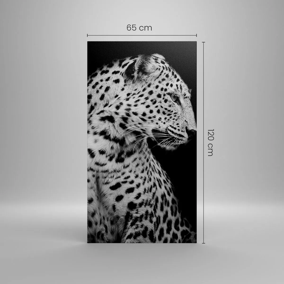 Impression sur toile - Image sur toile - Presque un profil parfait! - 65x120 cm