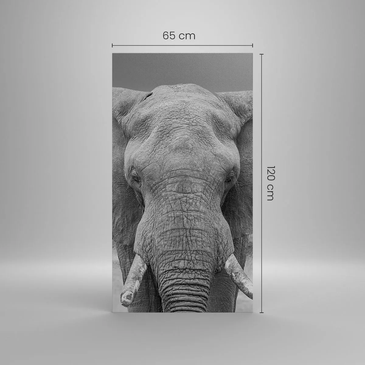 Impression sur toile - Image sur toile - Bienvenue dans mon monde - 65x120 cm