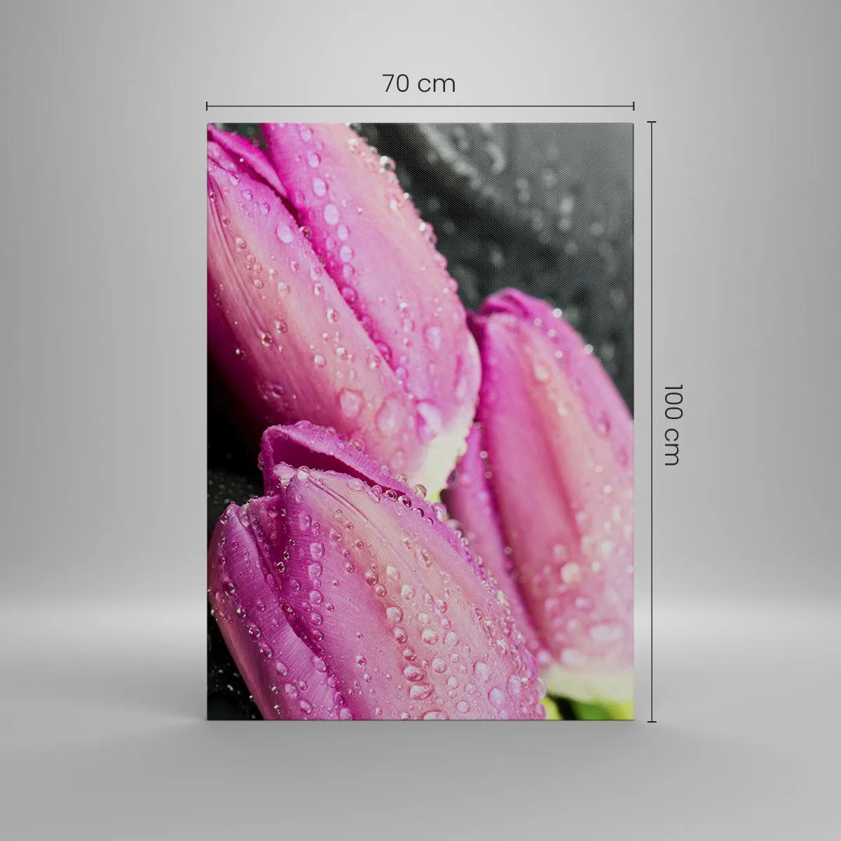 Bild auf Leinwand - Leinwandbild - Drei rosa Tulpen mit Wassertropfen auf schwarzem Hintergrund - 70x100cm - Liladrei auf schwarzem Stein - Moderne Wanddekoration für Wohnzimmer und Schlafzimmer ARTTOR