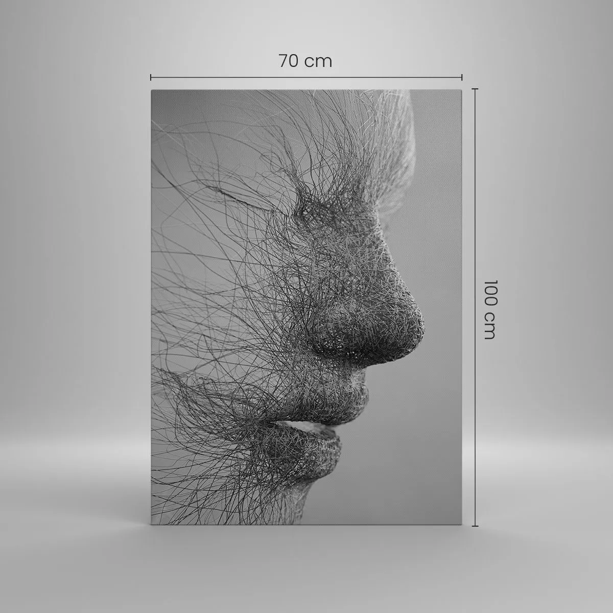 Canvas picture - Spirit of the Wind - 70x100 cm