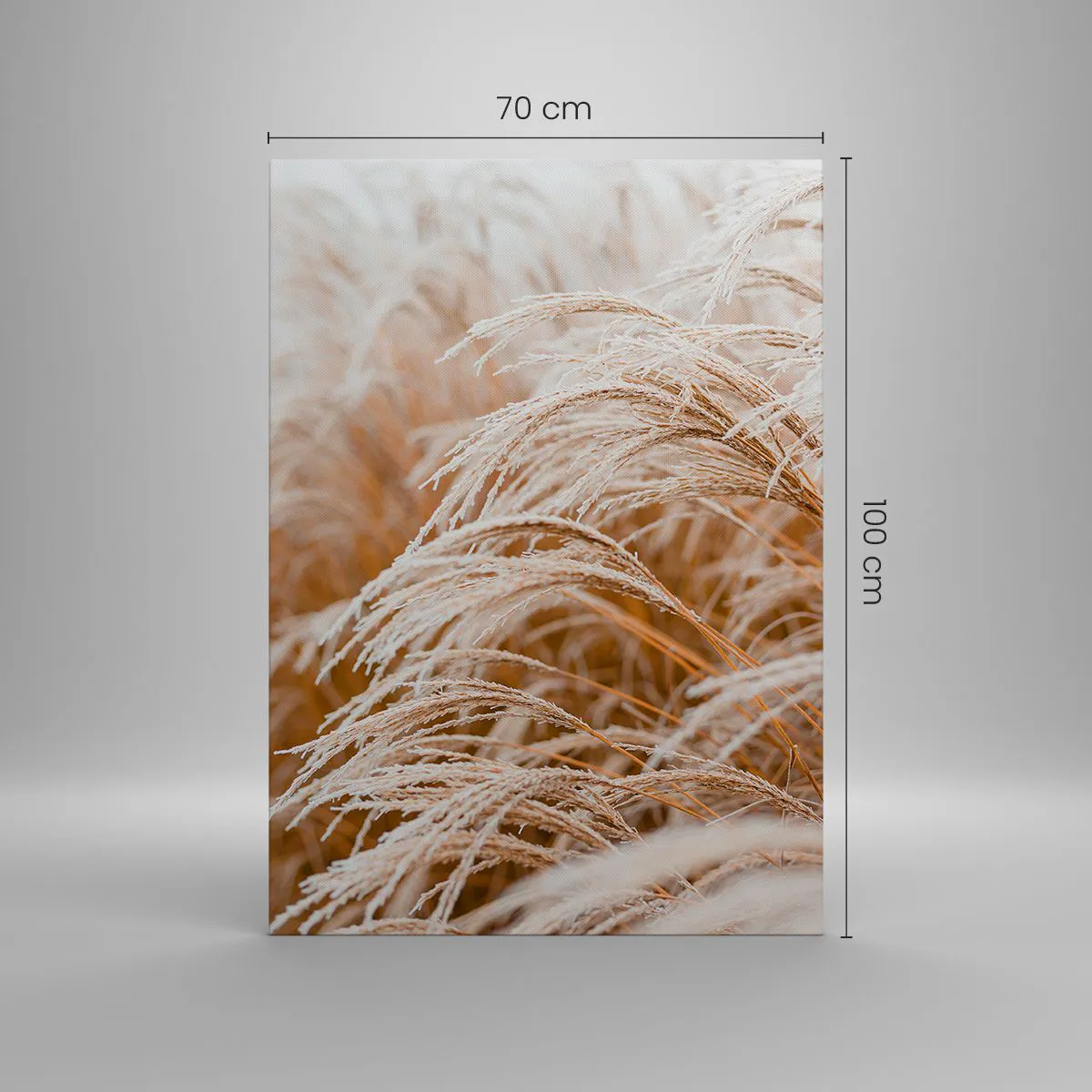 Obraz na płótnie - Suszone trawy pokryte delikatnym szronem w jesiennym świetle - 70x100cm - Pokłon jesiennemu słońcu - Nowoczesna dekoracja ścienna do salonu i sypialni ARTTOR