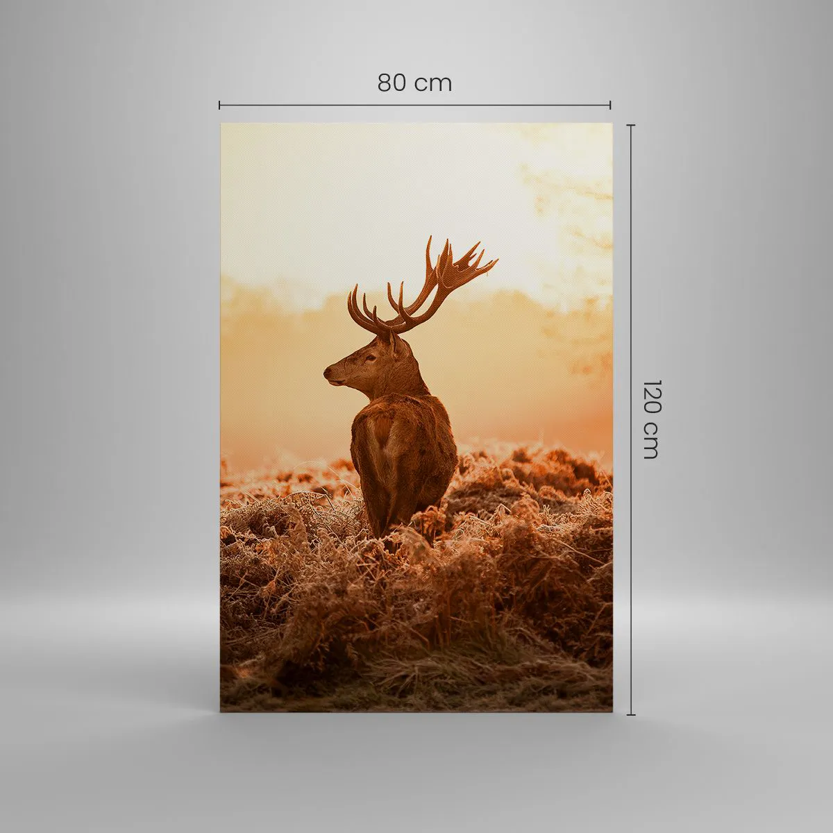 Obraz na plátně - Pán na panství - 80x120 cm