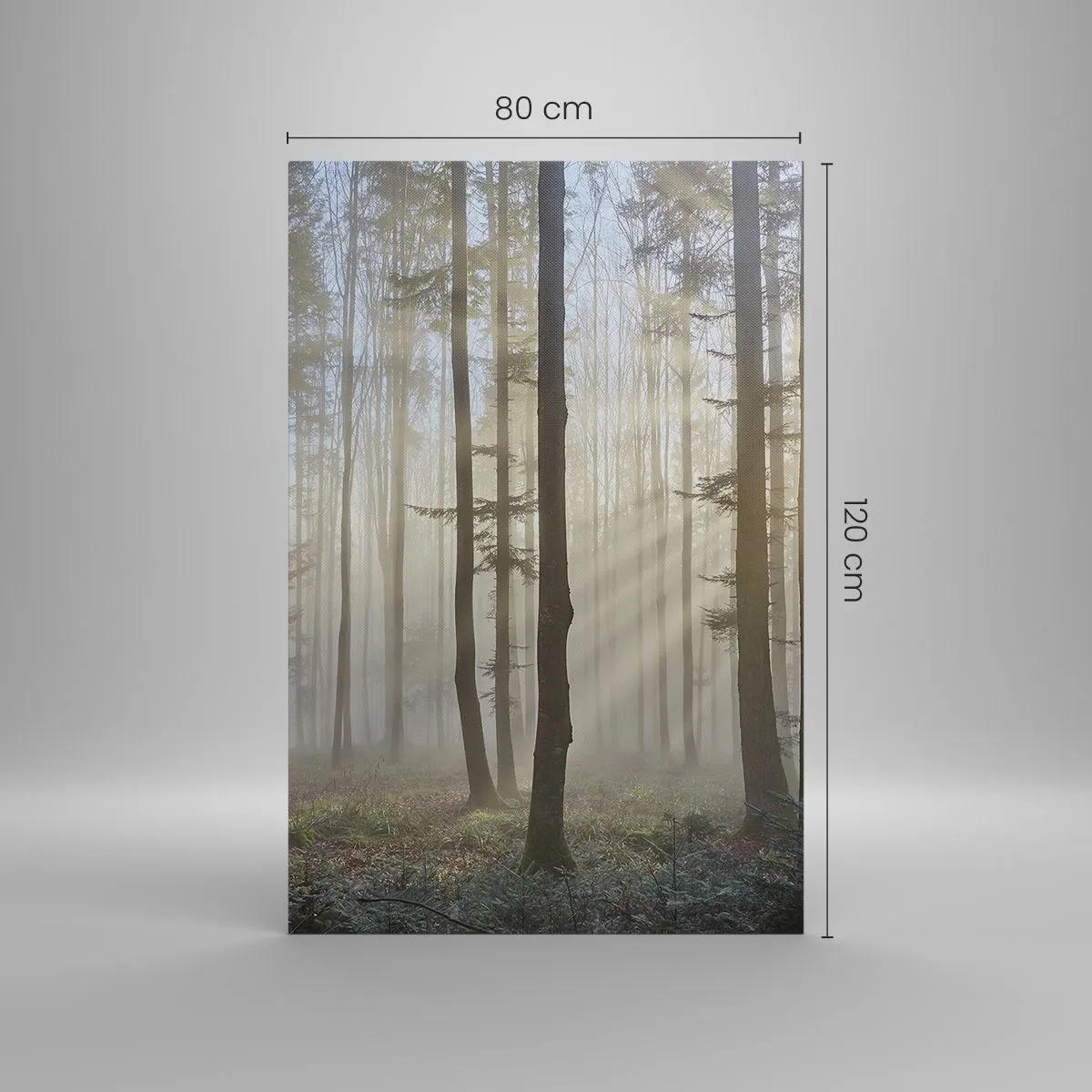 Obraz na plátně - Mlha se také vzbudila - 80x120 cm