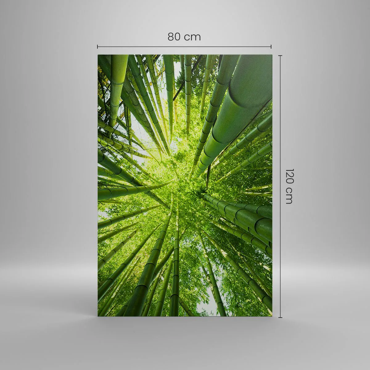 Cuadro sobre lienzo - Impresión de Imagen - Vista hacia arriba a través de un bosque de bambú verde. - 80x120cm - En un bosquecillo de bambú - Decoración de pared moderna para salón y dormitorio ARTTOR
