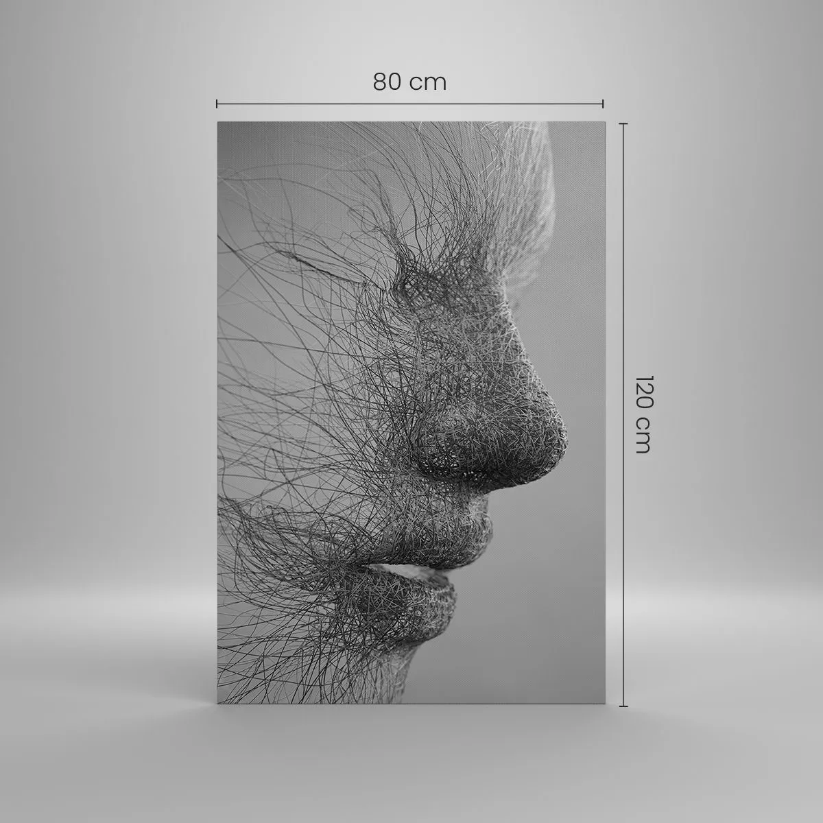 Bild auf Leinwand - Leinwandbild - Künstlerisches Gesichtsprofil mit zarten Linien - 80x120cm - Der Geist des Windes - Moderne Wanddekoration für Wohnzimmer und Schlafzimmer ARTTOR