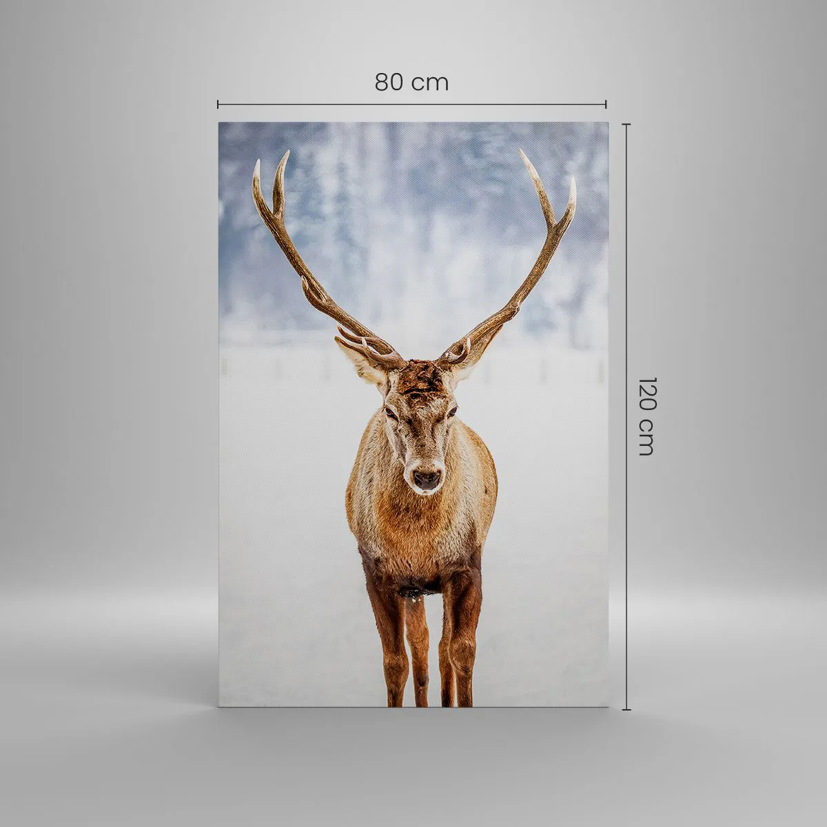 Quadro su tela - Stampe su Tela - Direttamente dalla nebbia di neve - 80x120 cm