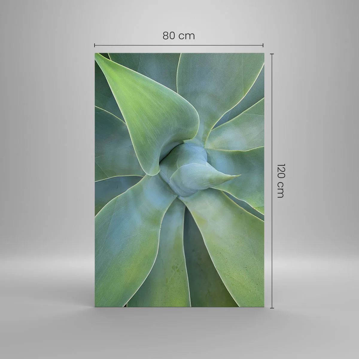 Obraz na płótnie - Subtelne liście agawy w odcieniach zieleni - 80x120cm - Narodziny zieleni - Nowoczesna dekoracja ścienna do salonu i sypialni ARTTOR