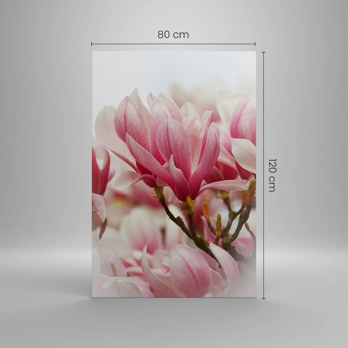 Obraz na płótnie - Delikatne różowe magnolie w pełnym rozkwicie na rozmytym tle - 80x120cm - Kwiaty wiosny - Nowoczesna dekoracja ścienna do salonu i sypialni ARTTOR