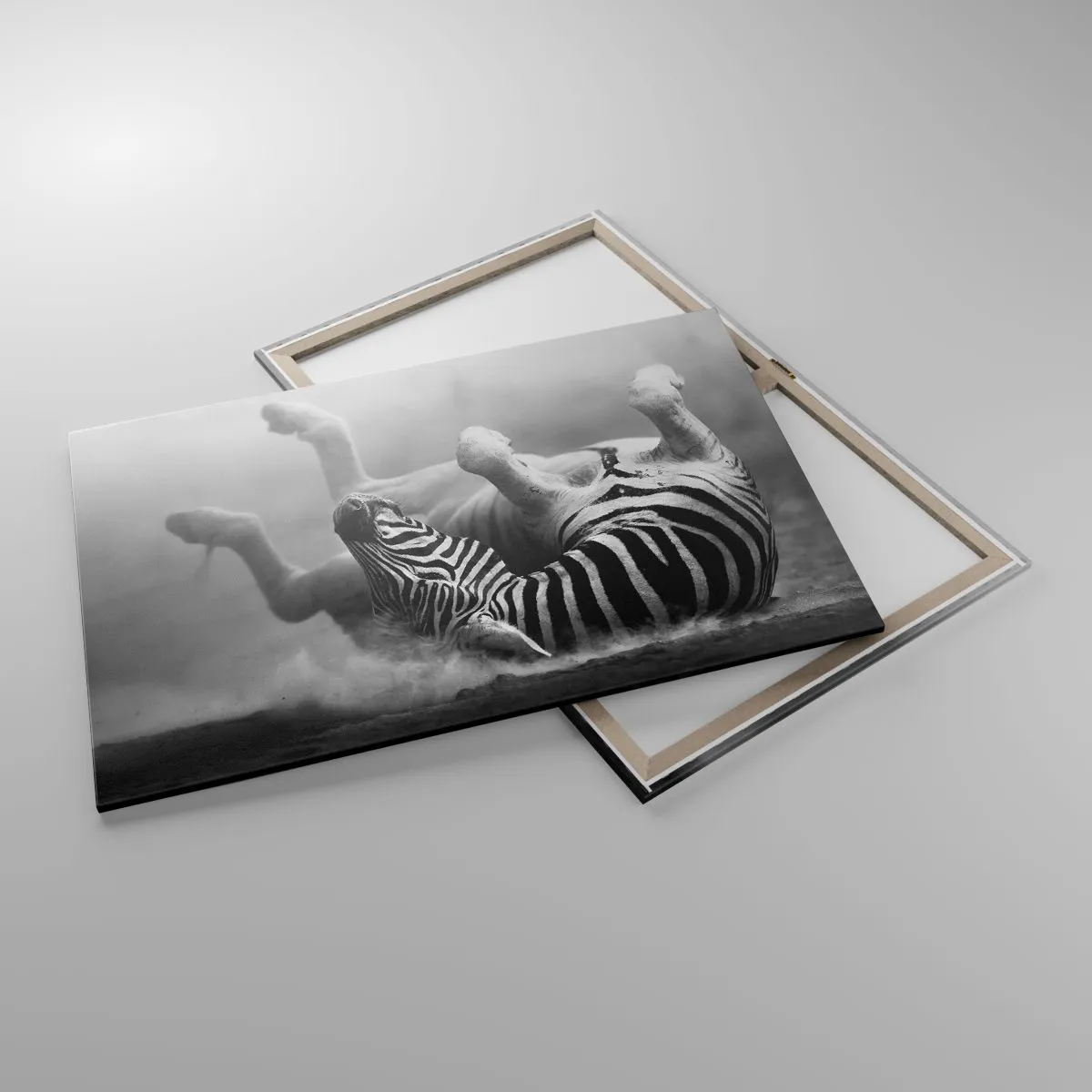 Bild auf Leinwand - Leinwandbild - Ein schwarz-weißes Zebra rollt im Sand - 100x70cm - Nicht nur das Pferd würde lachen - Moderne Wanddekoration für Wohnzimmer und Schlafzimmer ARTTOR