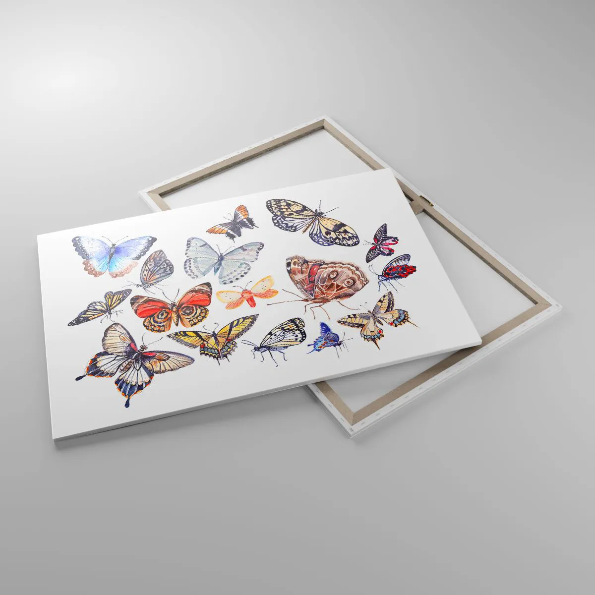 Vászonkép - Csipkés, színes raj - 100x70 cm