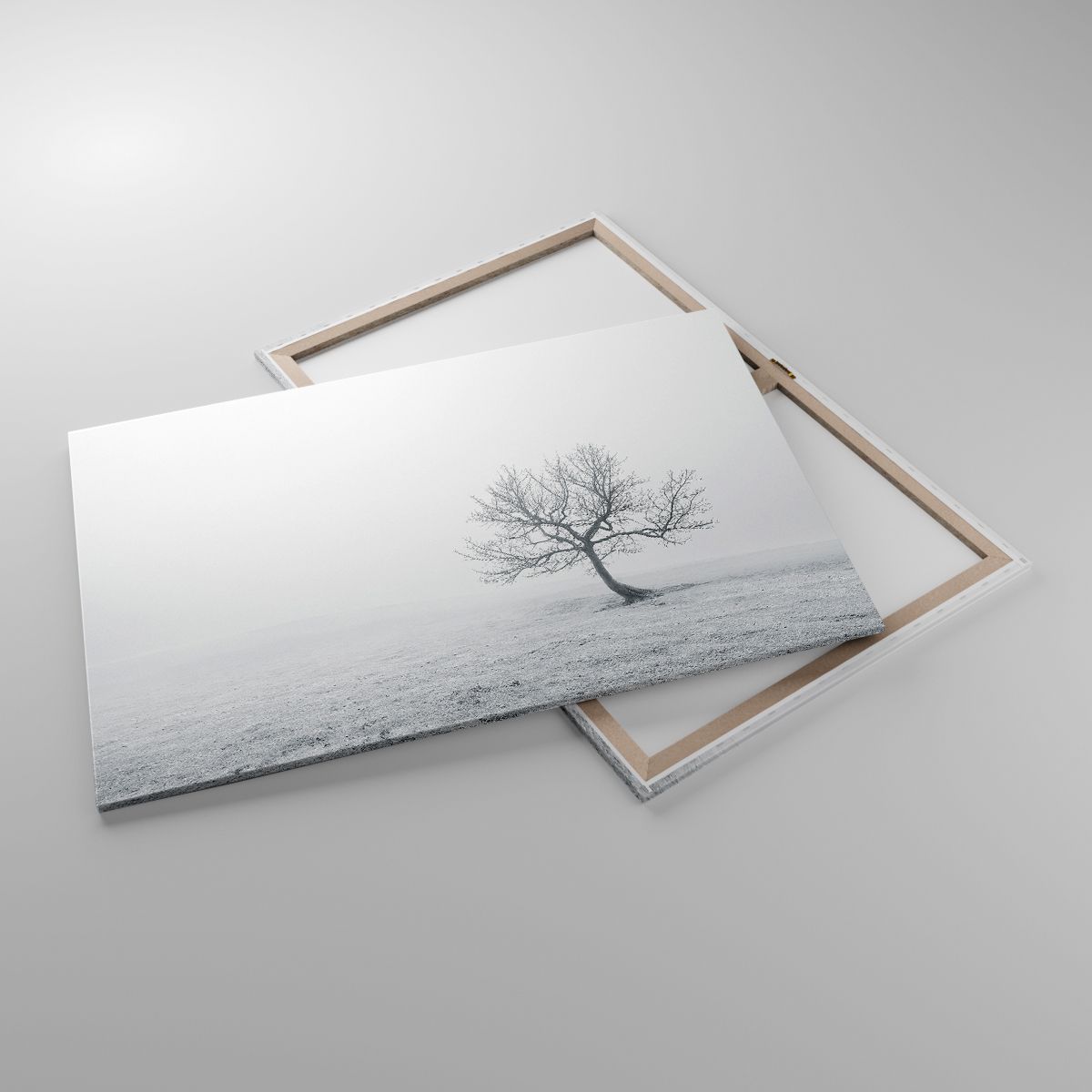 Obrazy Krajobraz, Obrazy Drzewo, Obrazy Natura, Obrazy Czarno-Biały, Obrazy Mgła