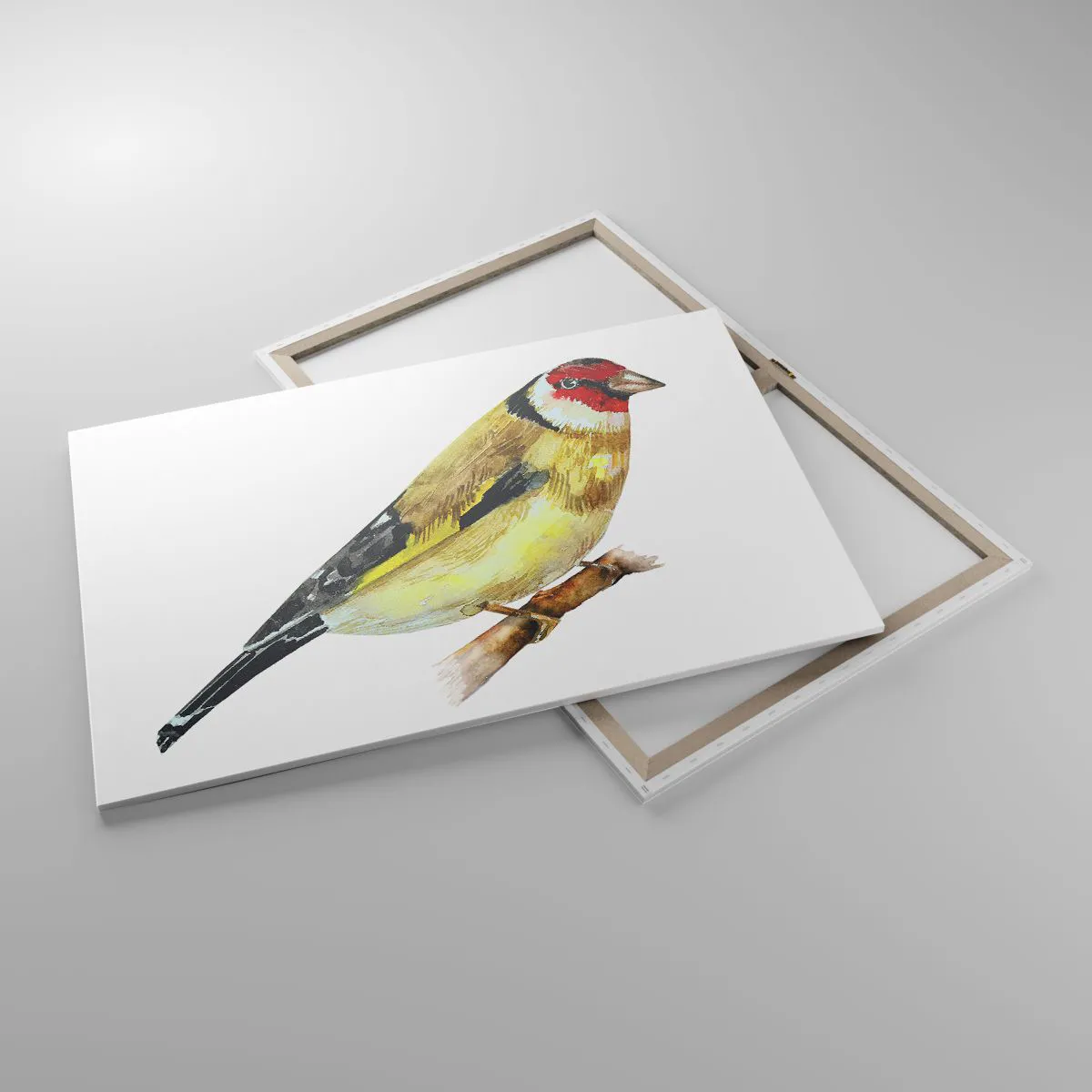 Obraz na płótnie - Ptak z czerwonym łebkiem na gałęzi - 100x70cm - Ptasi portret - Nowoczesna dekoracja ścienna do salonu, kuchni i sypialni ARTTOR