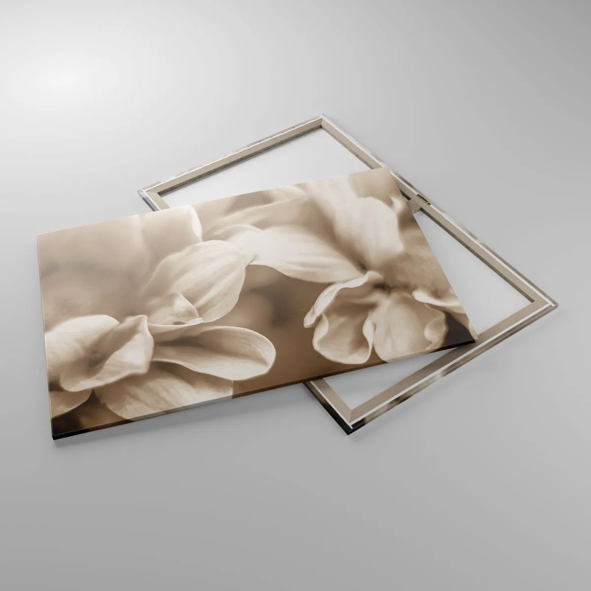 Quadro su tela - Stampe su Tela - Primo piano di fiori in una delicata tonalità seppia con contorni morbidi - 100x70cm - Mite come un sorriso - Decorazione murale moderna per soggiorno e camera da letto ARTTOR