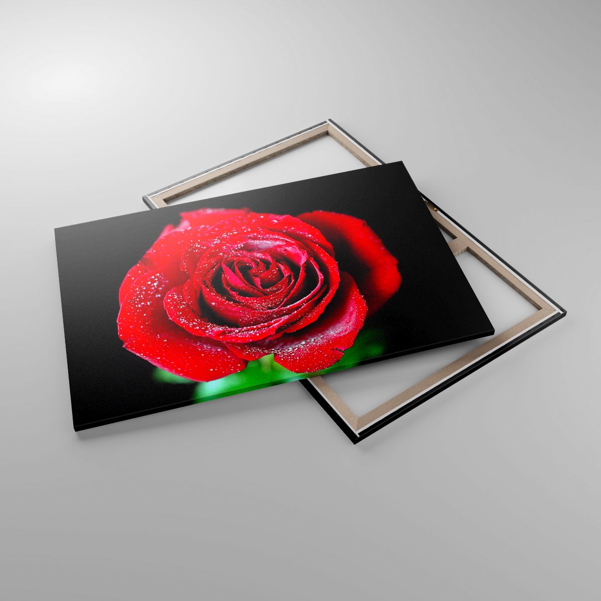 Obrazy Kwiaty, Obrazy Czerwona Róża, Obrazy Płatki Róży, Obrazy Miłość, Obrazy Krople Wody