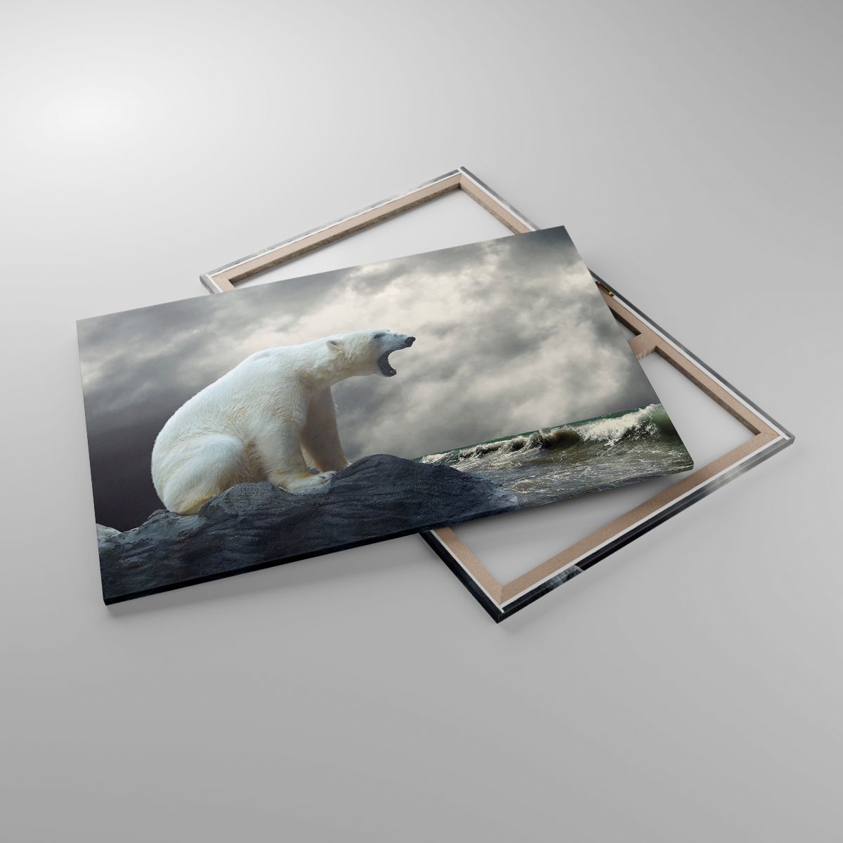 Obrazy Zwierzęta, Obrazy Niedźwiedź Polarny, Obrazy Ocean, Obrazy Natura, Obrazy Arktyka