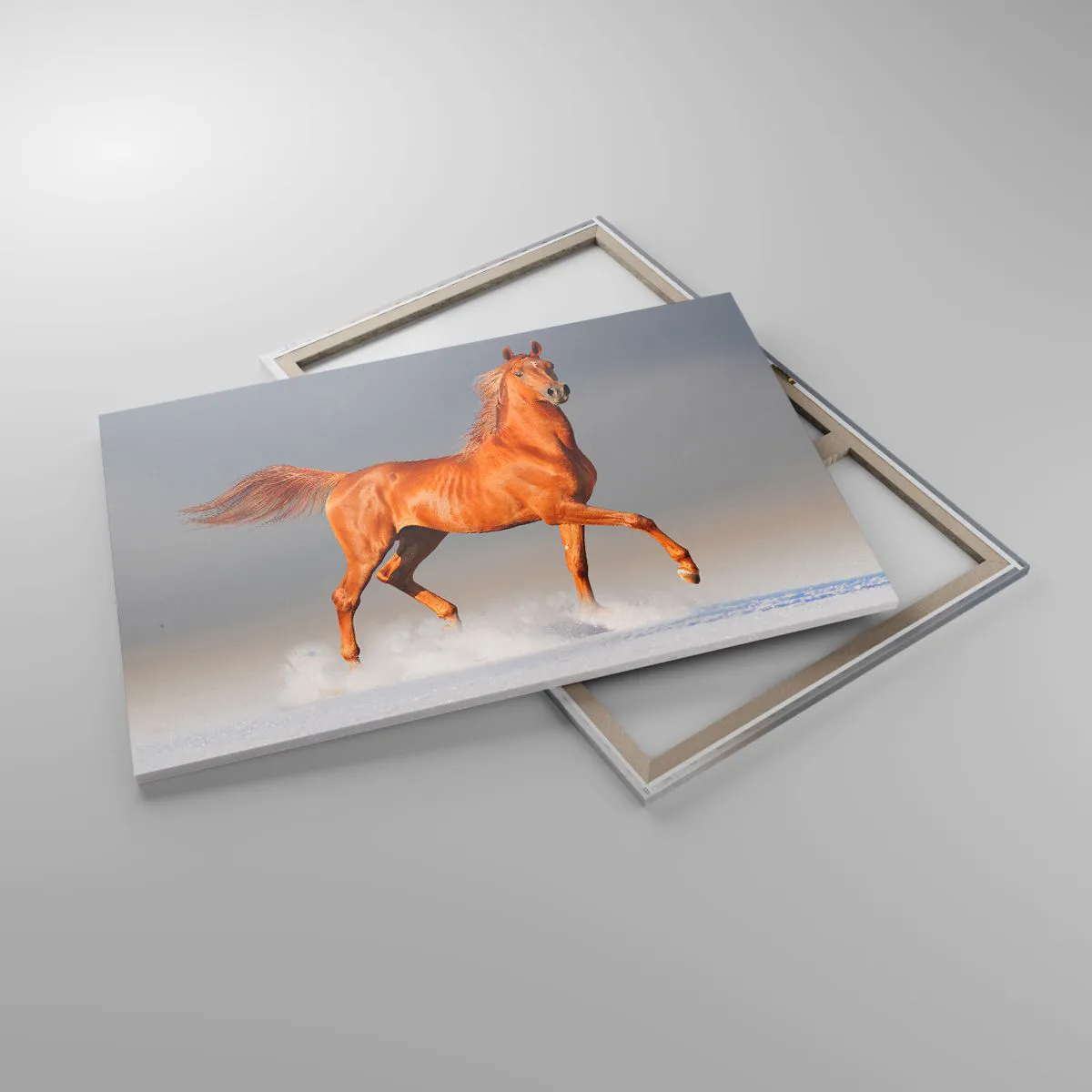 Canvas picture - Dancing Grace - 120x80 cm