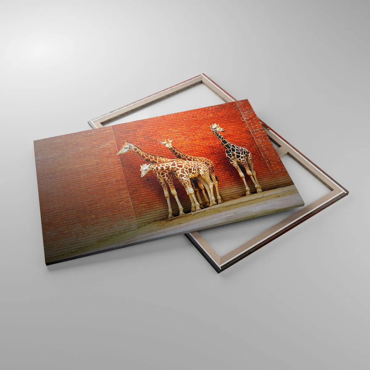 Cuadro sobre lienzo - Impresión de Imagen - Cuatro jirafas contra una pared de ladrillos en un entorno artístico. - 120x80cm - ¿Ves alguna acacia? - Decoración de pared moderna para salón y dormitorio ARTTOR