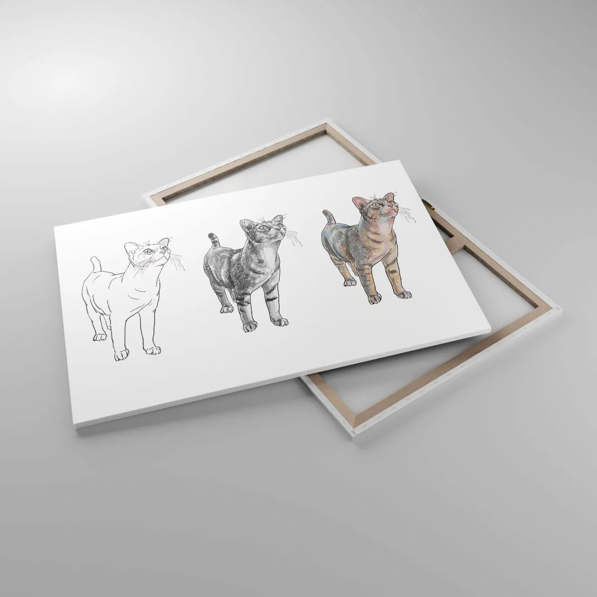 Obraz na płótnie - Ewolucja rysunku kota od szkicu do kolorowej formy - 120x80cm - Lekcja rysunku - Nowoczesna dekoracja ścienna do salonu, kuchni i sypialni ARTTOR