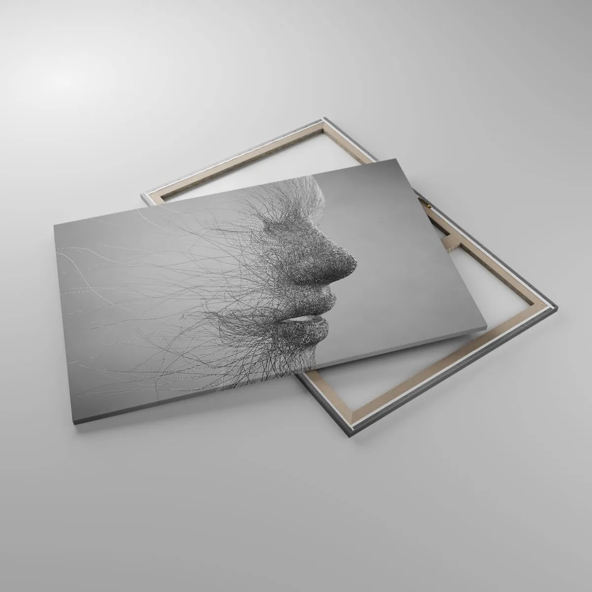 Impression sur toile - Image sur toile - Profil facial artistique créé avec des lignes délicates - 120x80cm - L'esprit du vent - Décoration murale moderne pour le salon et la chambre ARTTOR