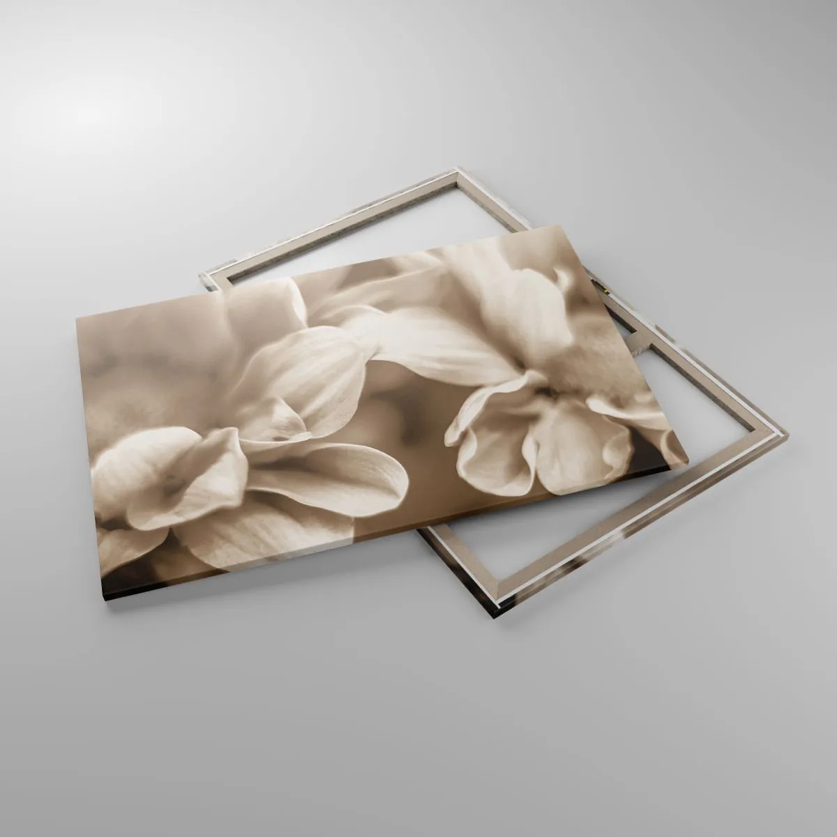 Impression sur toile - Image sur toile - Gros plan de fleurs dans un ton sépia délicat avec des contours doux - 120x80cm - Doux comme un sourire - Décoration murale moderne pour le salon et la chambre ARTTOR