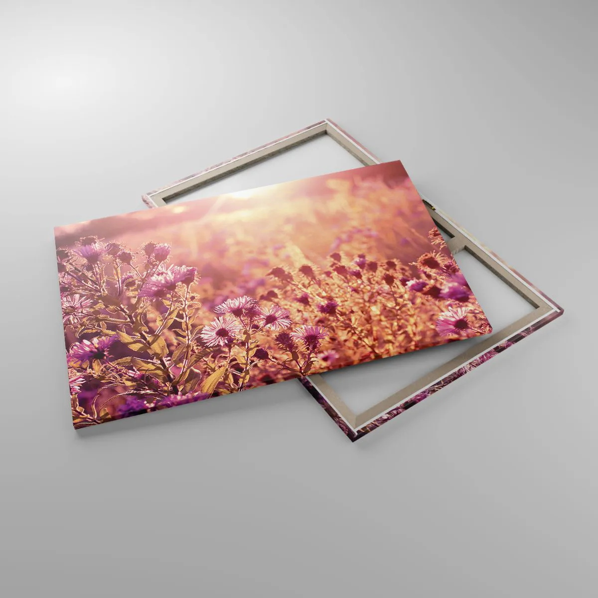 Obraz na płótnie - Łąka w świetle zachodzącego słońca - 120x80cm - Przed odejściem lata - Nowoczesna dekoracja ścienna do salonu, kuchni i sypialni ARTTOR