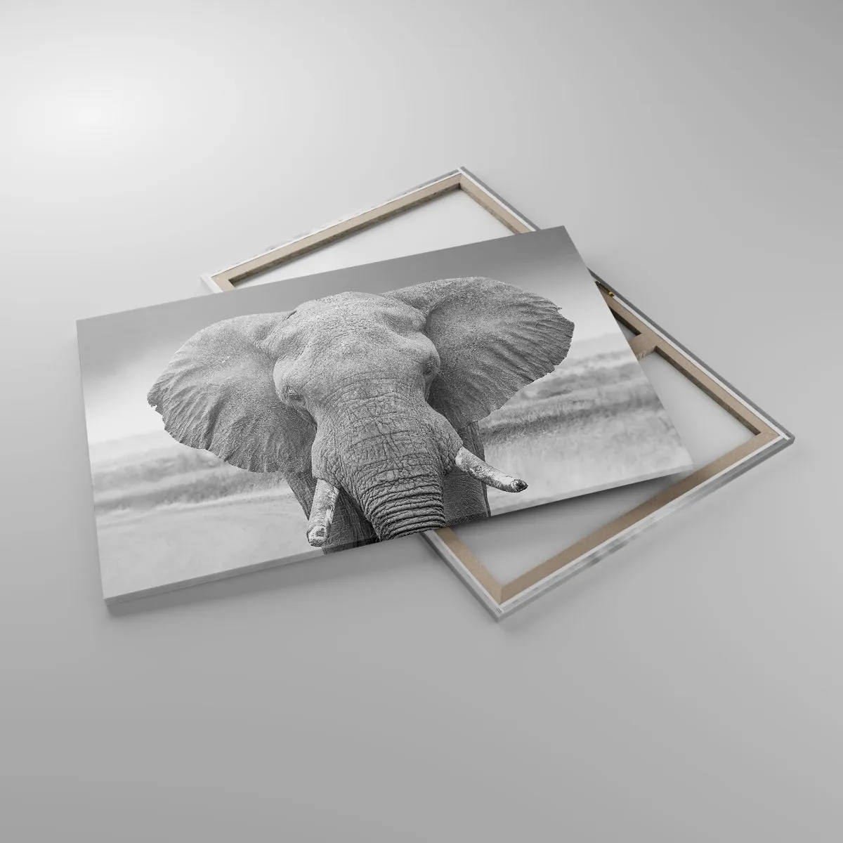 Obraz na plátně - Vítejte v mém světě - 120x80 cm