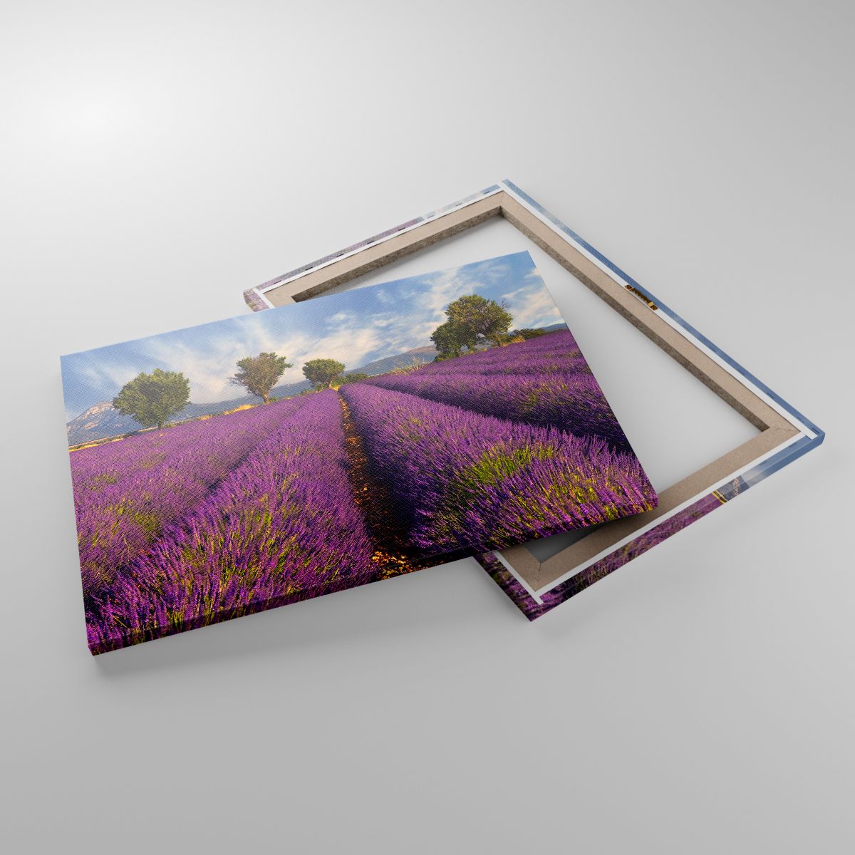 Leinwandbild Landschaft, Leinwandbild Natur, Leinwandbild Lavendel, Leinwandbild Frankreich, Leinwandbild Landschaft
