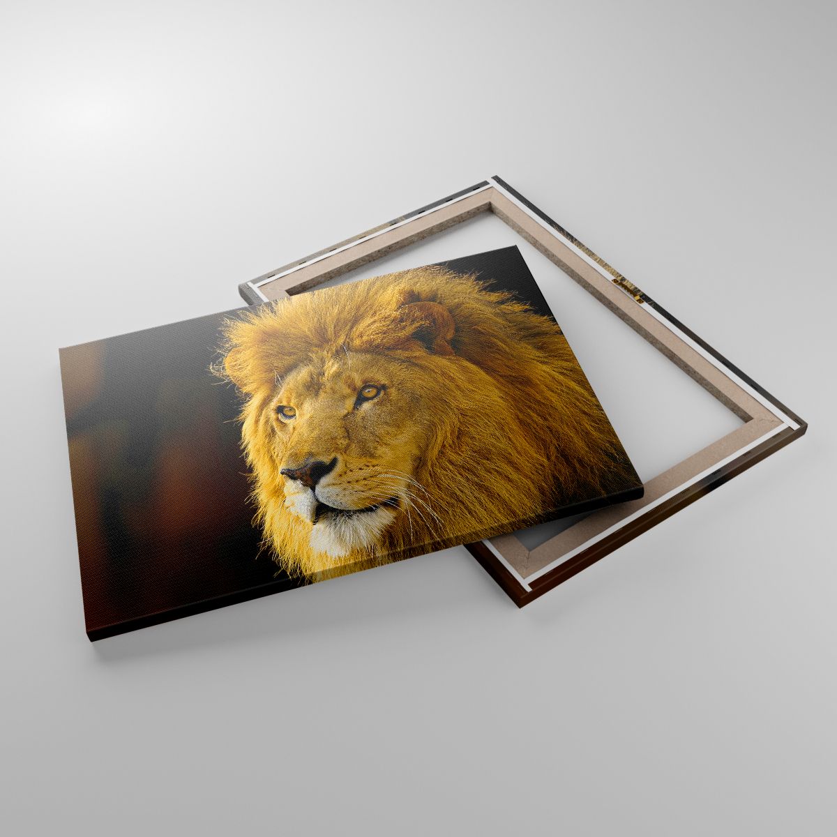 Leinwandbild  Tiere, Leinwandbild Löwe, Leinwandbild Natur, Leinwandbild Raubtier, Leinwandbild Afrika