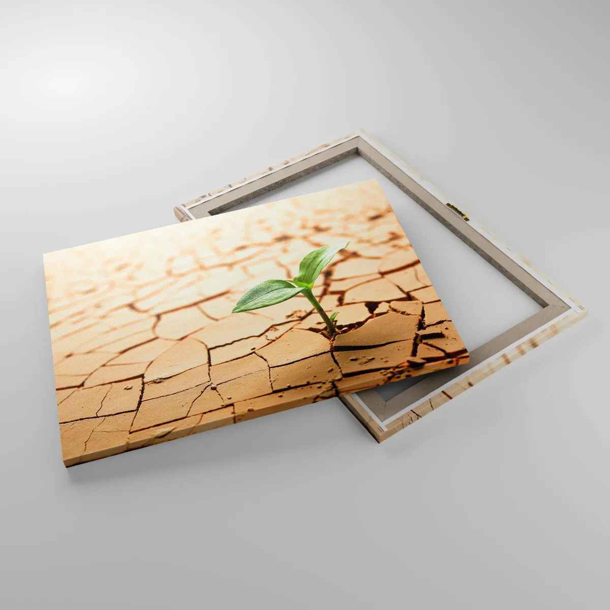 Canvas picture - A green plant growing out of dry, cracked earth - 70x50cm - Untamed Life Force - Modern wall decoration for the living room and bedroom ARTTOR